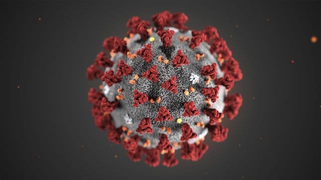Eine Mikroskopaufnahme zeigt das Coronavirus Eine Mikroskopaufnahme zeigt das Coronavirus