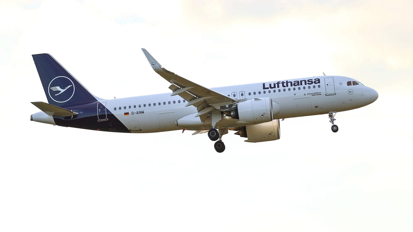 Eine Maschine der Lufthansa: Der Staat kann nach der Zustimmung der Aktionäre bei der Airline einsteigen.