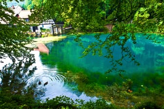 Blautopf: Der Tümpel gab Anlass für viele fantastische Geschichten, in denen Nixen und seltsame Wasserwesen die Hauptrolle spielten.