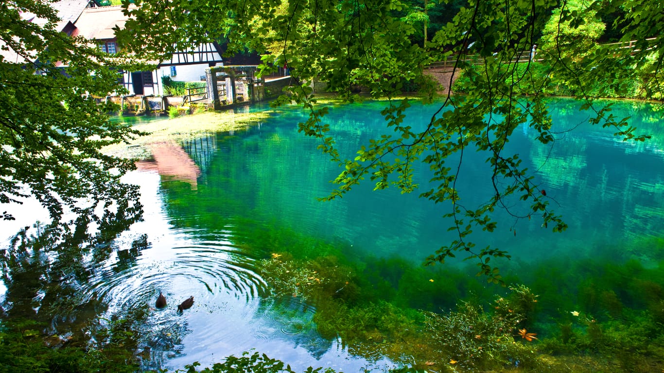 Blautopf: Der Tümpel gab Anlass für viele fantastische Geschichten, in denen Nixen und seltsame Wasserwesen die Hauptrolle spielten.