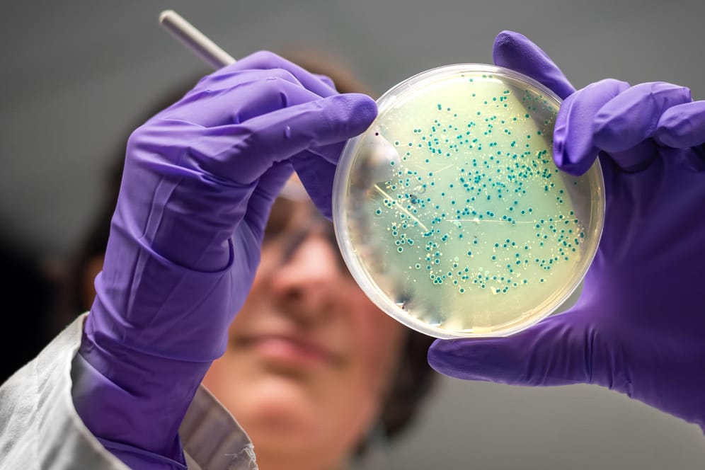 Bakterien: Antibiotika-Resistenzen sind ein weltweites Problem.