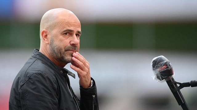 Bayer-Trainer Peter Bosz will mit den Leverkusenern noch in die Champions League. Bayer-Trainer Peter Bosz will mit den Leverkusenern noch in die Champions League.