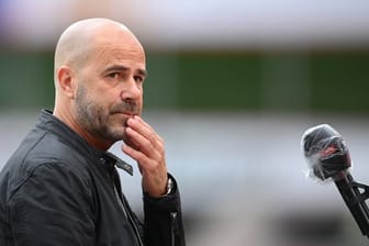Bayer-Trainer Peter Bosz will mit den Leverkusenern noch in die Champions League.