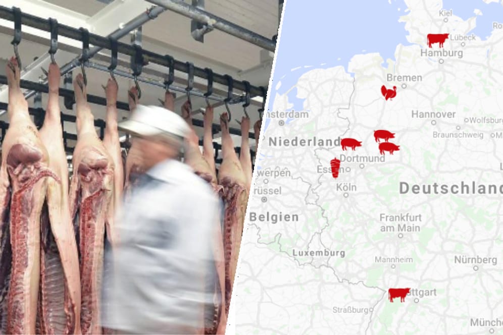 Corona-Ausbrüche in Schlachthöfen: Das sind die größten Fälle in Deutschland.