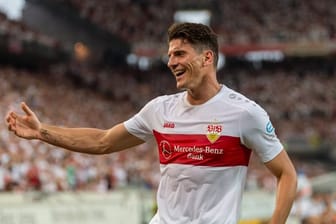 Mario Gomez