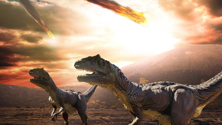 Die Dinosaurier wurden wohl durch einen Asteroiden mit knapp zwölf Kilometer ausgelöscht.