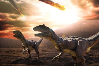 Die Dinosaurier wurden wohl durch einen Asteroiden mit knapp zwölf Kilometer ausgelöscht.