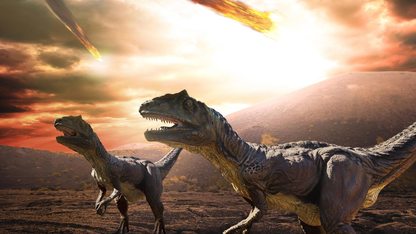 The dinosaurs were probably wiped out by an asteroid of almost twelve kilometers.