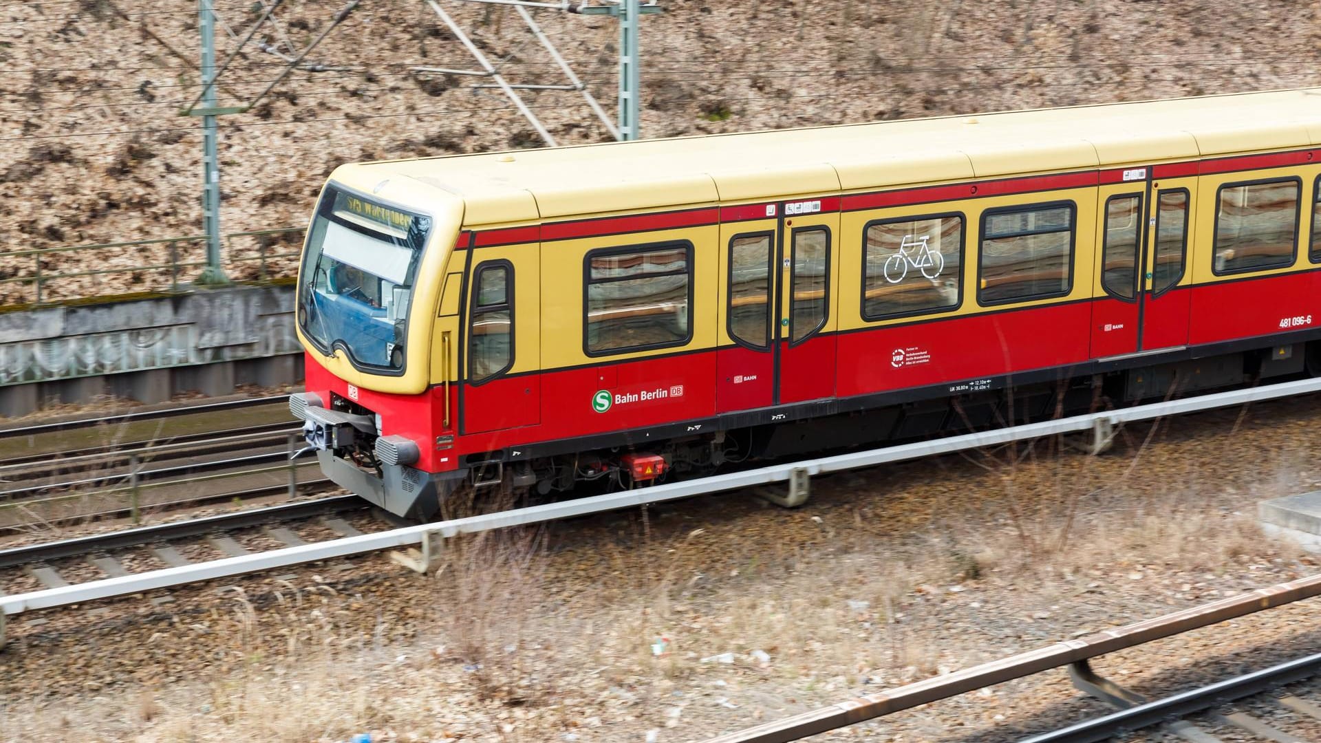 Eine S-Bahn der Linie S75: In einem Wagon der Berliner S-Bahn ist eine Frau angegriffen worden.