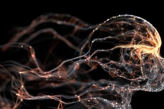 Neuronales Netz