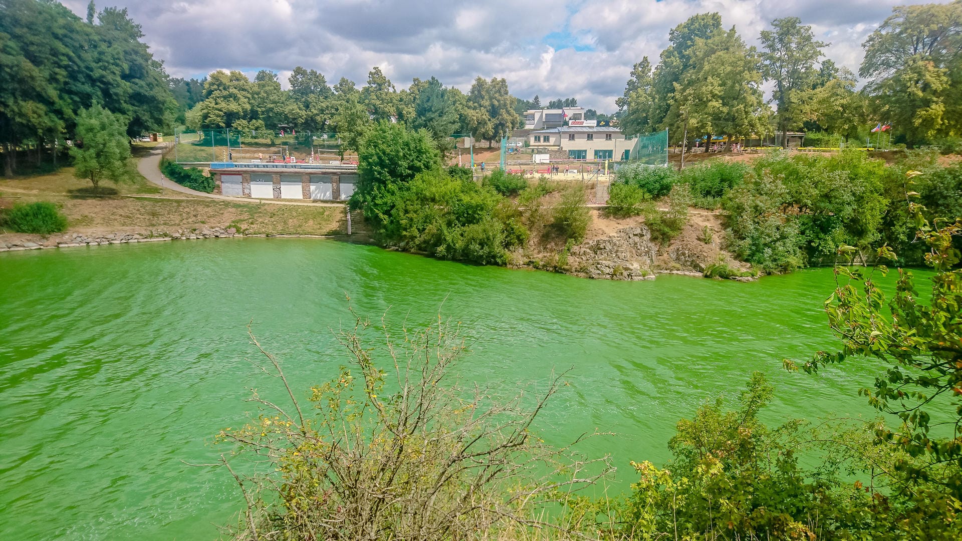 Gesundheitsgefahren beim Urlaub: Manche Badegewässer sind durch Cyanobakterien, sogenannte Blaualgen, verunreinigt.
