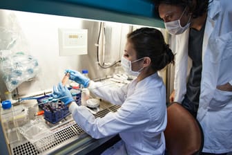 Virologie: In China ist ein neuer Erreger der Schweinegrippe aufgetaucht.