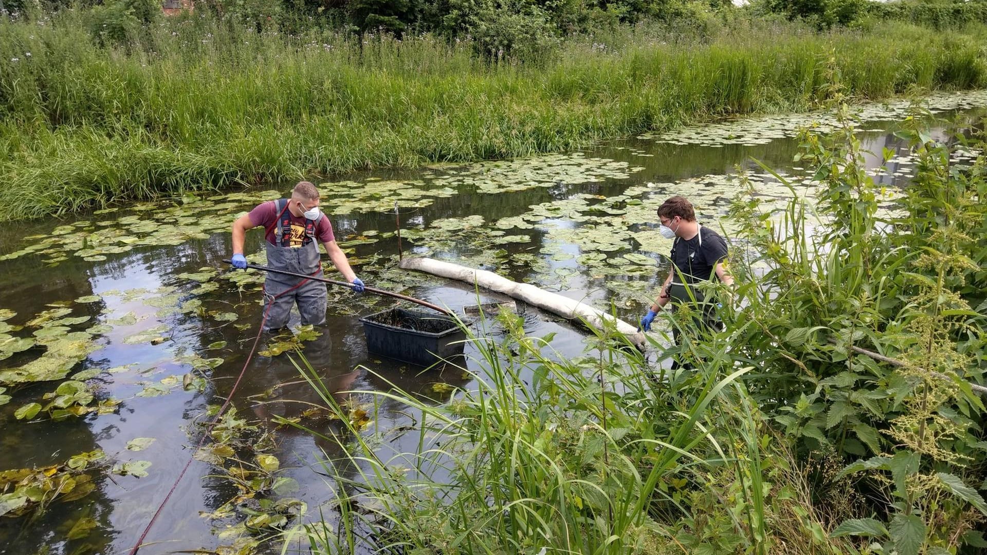 Feuerwehrleute errichten eine Sperre in der Aller: So sollte die weitere Ausbreitung des Altöls verhindert werden.