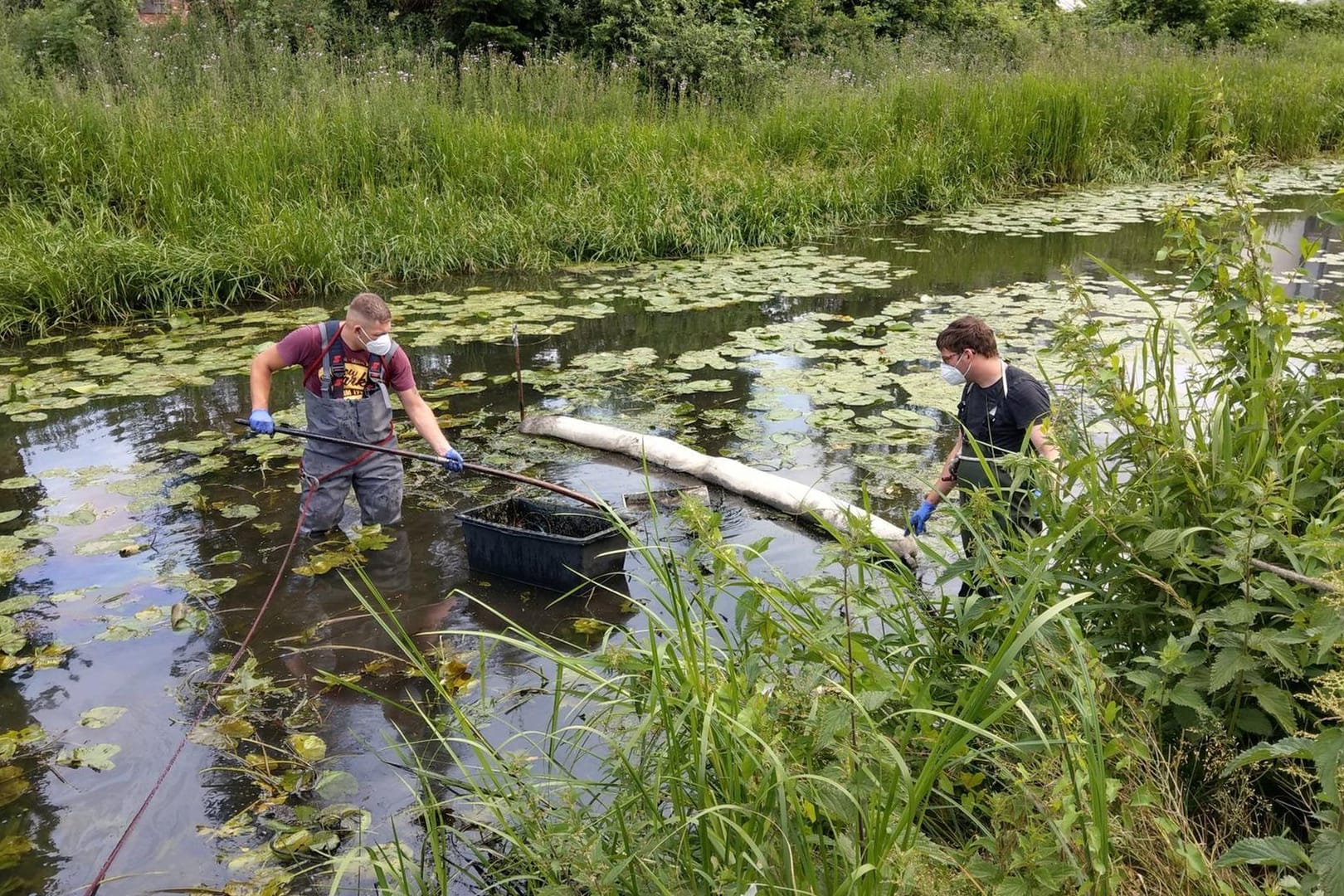 Feuerwehrleute errichten eine Sperre in der Aller: So sollte die weitere Ausbreitung des Altöls verhindert werden.