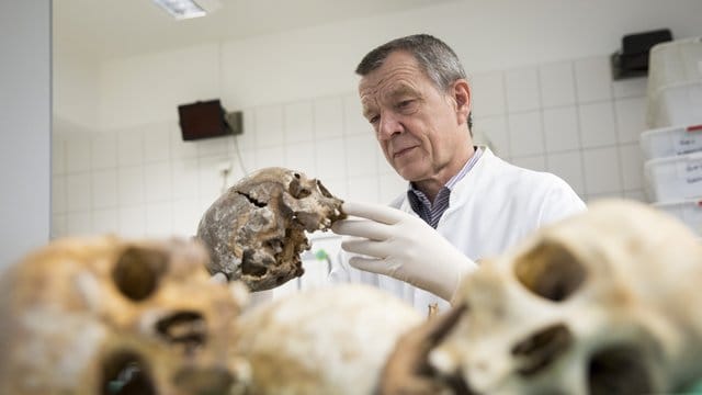 Klaus Püschel und die Gerichtsreporterin Mittelacher beschreiben in ihrem neuen Buch "Sex and Crime: Die Wahrheit ist der beste Krimi", wie Sex zur Triebfeder extremer Verbrechen wird. Klaus Püschel und die Gerichtsreporterin Mittelacher beschreiben in ihrem neuen Buch "Sex and Crime: Die Wahrheit ist der beste Krimi", wie Sex zur Triebfeder extremer Verbrechen wird.