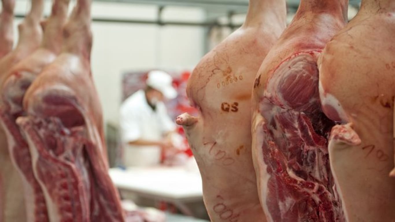 Das Symbolfoto zeigt Schweinehälften in einer Großfleischerei.