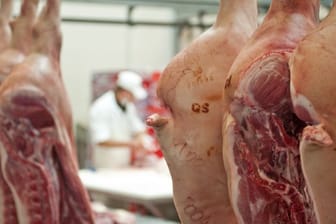 Das Symbolfoto zeigt Schweinehälften in einer Großfleischerei.