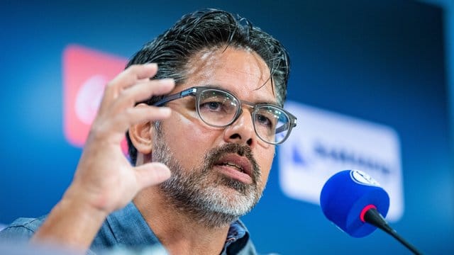 Hatte mit Schalke einiges gut zu machen: Coach David Wagner.