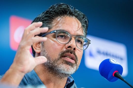 Hatte mit Schalke einiges gut zu machen: Coach David Wagner.