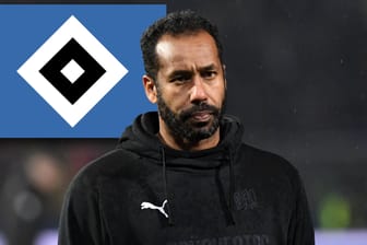 Führt er den Hamburger SV zurück in die Bundesliga? Daniel Thioune.