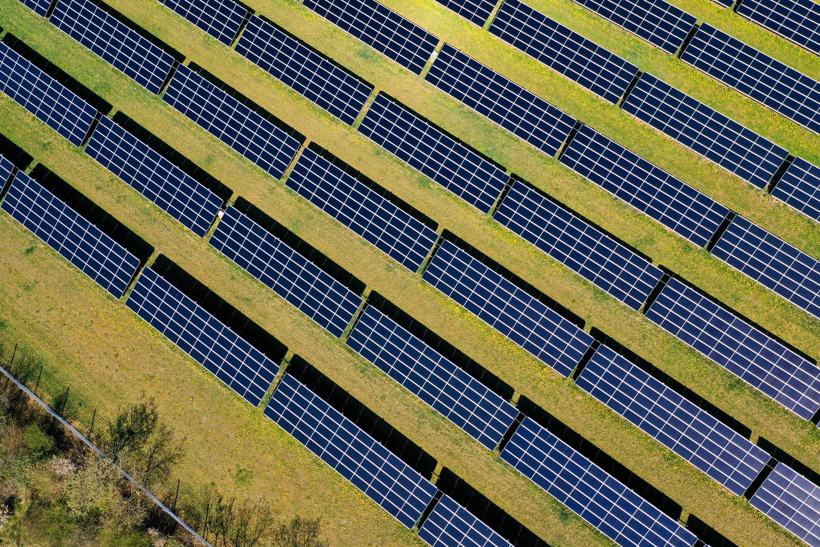 Photovoltaikanlage im Unterallgäu: Der Ausbau erneuerbarer Energien könnte auch über die CO2-Bepreisung finanziert werden.