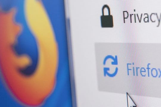 Ist der Firefox aktuell? Falls nicht, könnte es Probleme mit der Internetsuche geben.