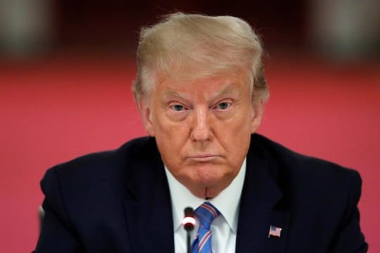 Donald Trumps Nichte warnt vor einer zweiten Amtszeit des US-Präsidenten.