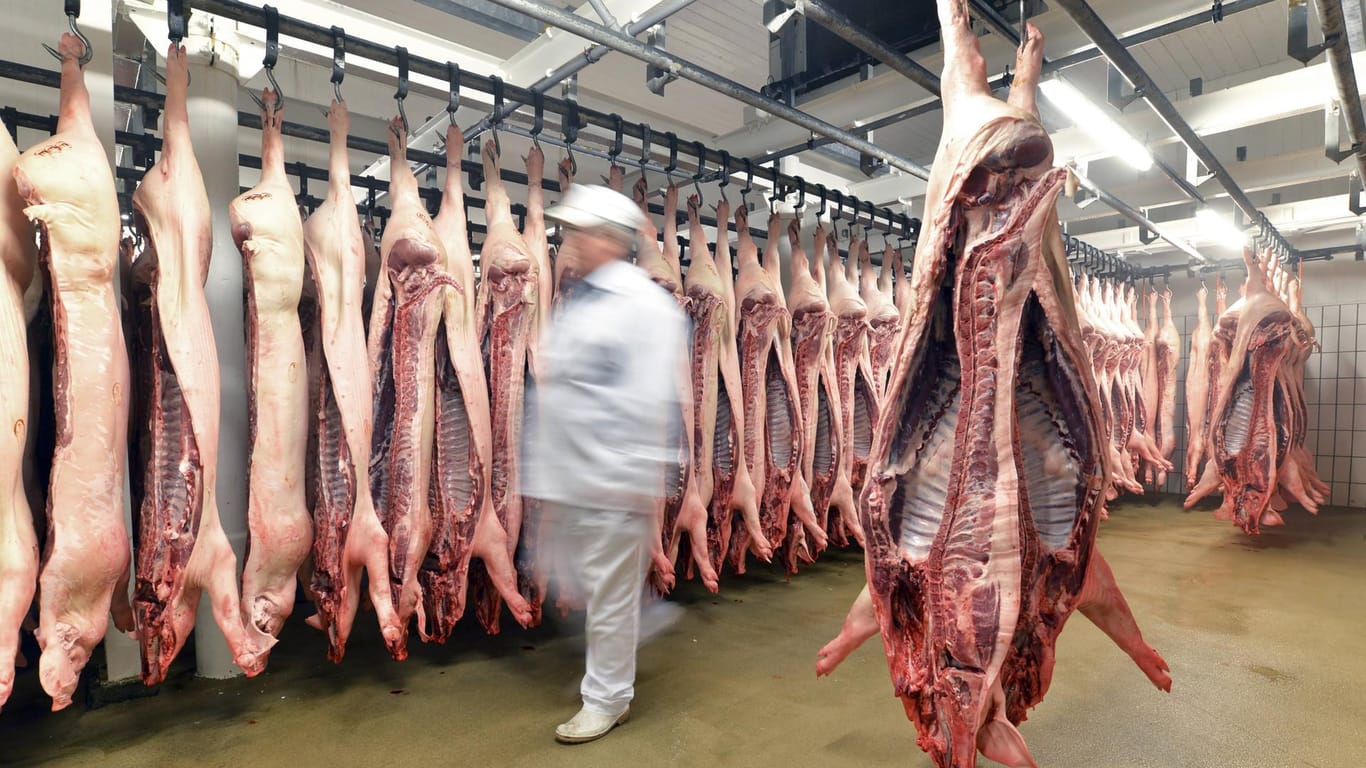 Schweinehälften im Kühlhaus: Der Schlachtbetrieb in Gütersloh stellt nach mehreren Corona-Infektionen freiwillig den Betrieb ein. (Symbolfoto)