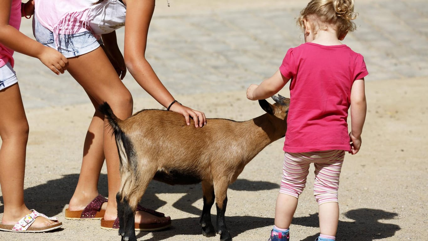Kinder streicheln eine Ziege im Dortmunder Zoo: Am Mittwoch konnte der beliebte Bereich wieder öffnen.