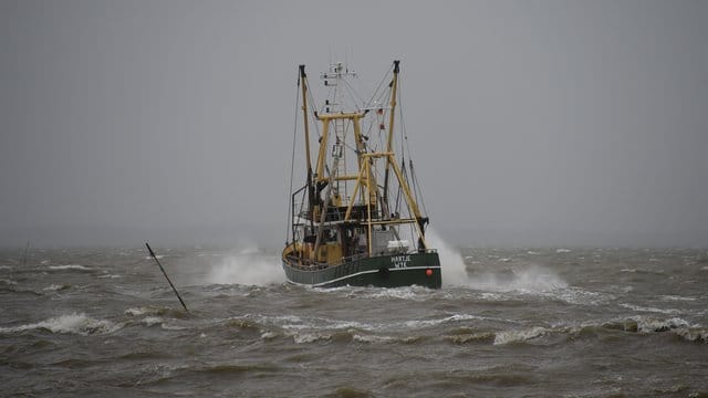 Ein Fischkutter fährt vor Dagebüll über die sturmgepeitschte Nordsee.