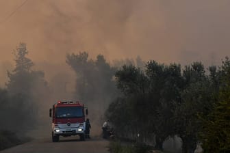 Buschfeuer in Griechenland werden durch Winde verstärkt.