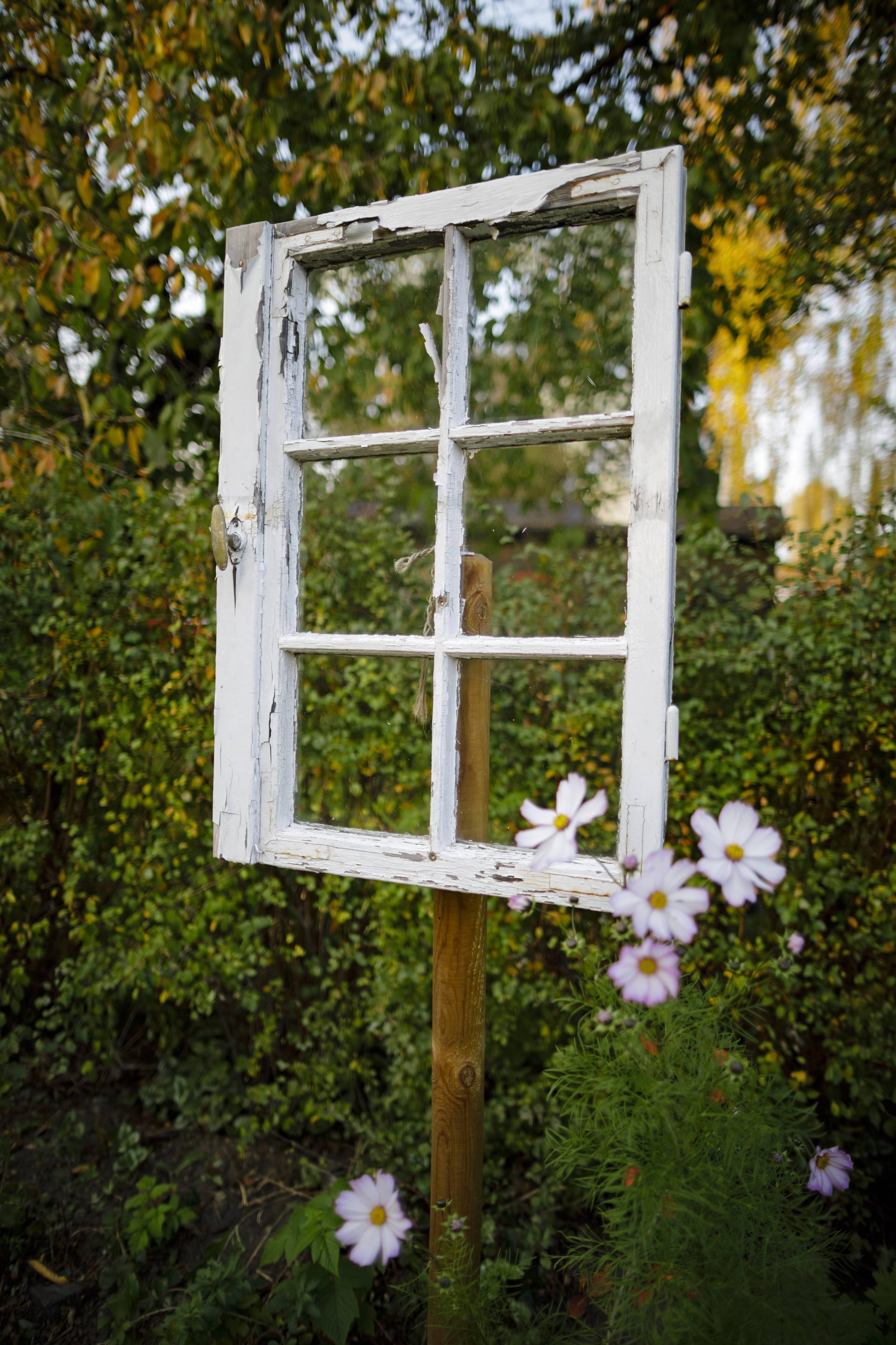 Das Fenster zum Garten: Besonders gut eignen sich Sprossenfenster.