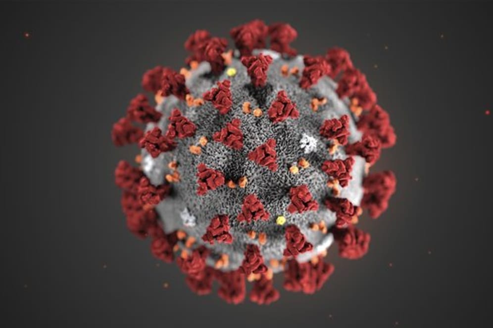 Eine Mikroskopaufnahme zeigt das Coronavirus