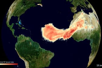 Daten von Erdbeobachtungssatelliten zeigen die ungewöhnliche Ausdehnung einer Wolke aus Sahara-Staub bei ihrer Reise über den Atlantik.