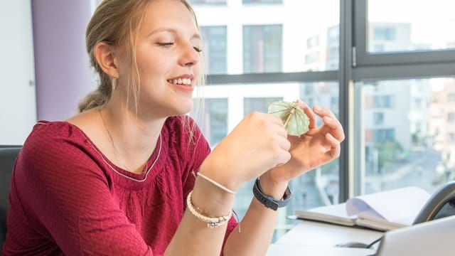 Manch Arbeitnehmer träumt vielleicht schon vom Urlaub im Risikogebiet.