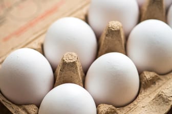 Eier im Karton: Die Herkunft von Eiern lässt sich nicht am Karton ablesen.