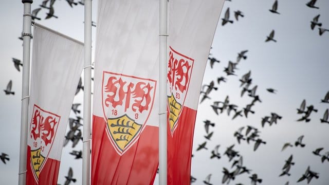 Aufsteiger VfB Stuttgart startet am 3. Aufsteiger VfB Stuttgart startet am 3.