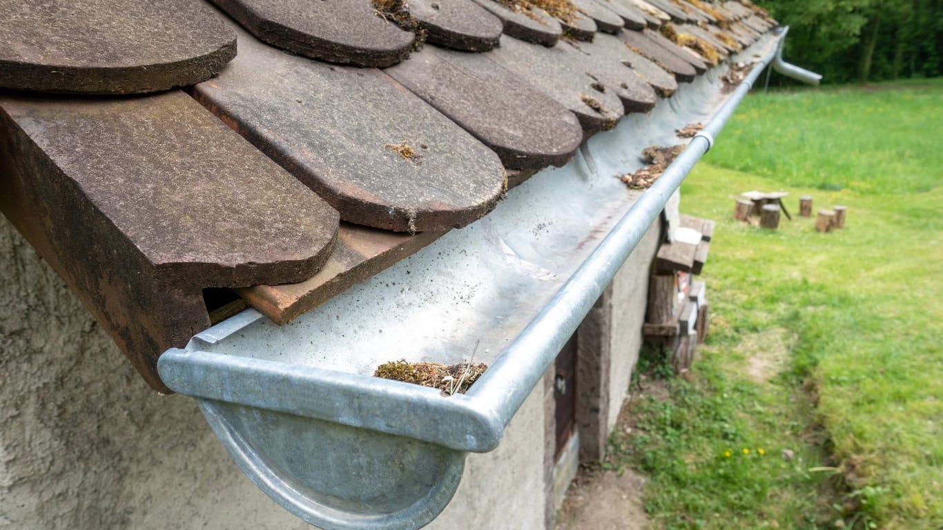 Schmutz in einer Dachrinne (Symbolbild): Ein 80-Jähriger wollte die Dachrinne seines Hauses in München reinigen, kollabierte dabei aber.