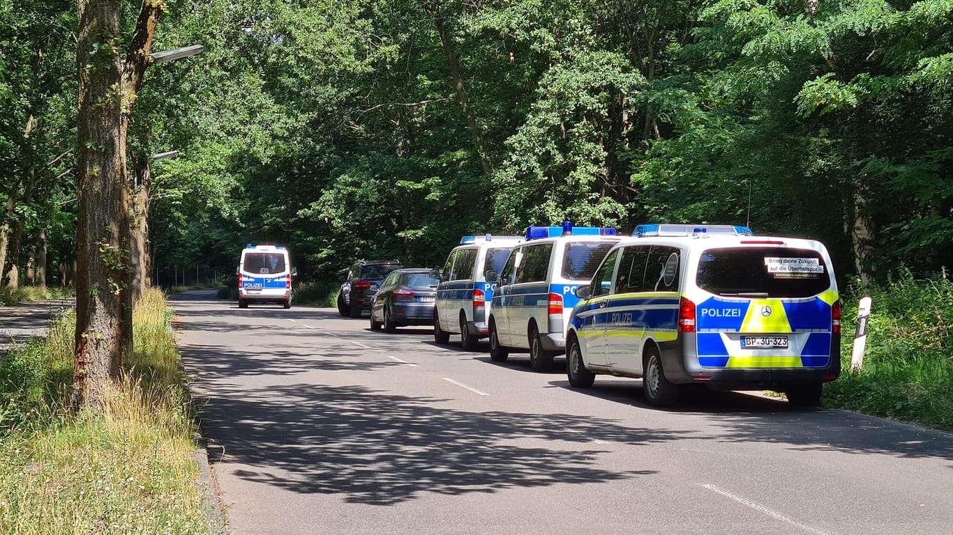 Polizeifahrzeuge in einem Wald bei Potsdam: Nach einer erneuten Vergewaltigung soll es eine Festnahme gegeben haben.