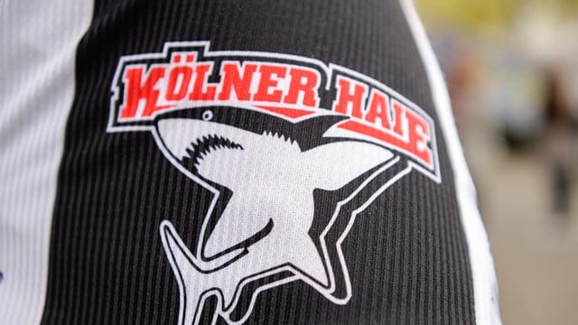 Das Logo der Kölner Haie, auf einem Trikot aufgedruckt: Ein Profi des Clubs hat sich mit dem Coronavirus infiziert.