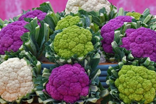 Blumenkohl gibt es in verschiedenen Varianten, auch in grün und lila.