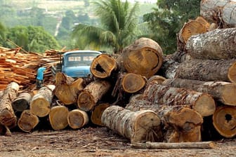 Eine Holzfabrik in Brasilien.