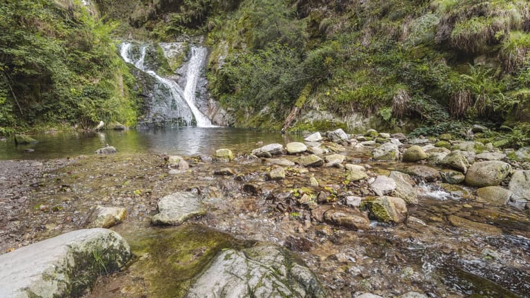 Allerheiligen-Wasserfälle bei Oppenau im Nordschwarzwald: Bis zu 300 Höhenmeter müssen überwunden werden, viele Steilhänge liegen in dem Gebiet.