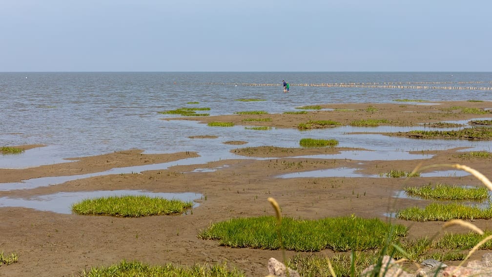 Friedrichskoog-Spitze: Ein Teil des Strands ist auch für FKK-Anhänger reserviert.