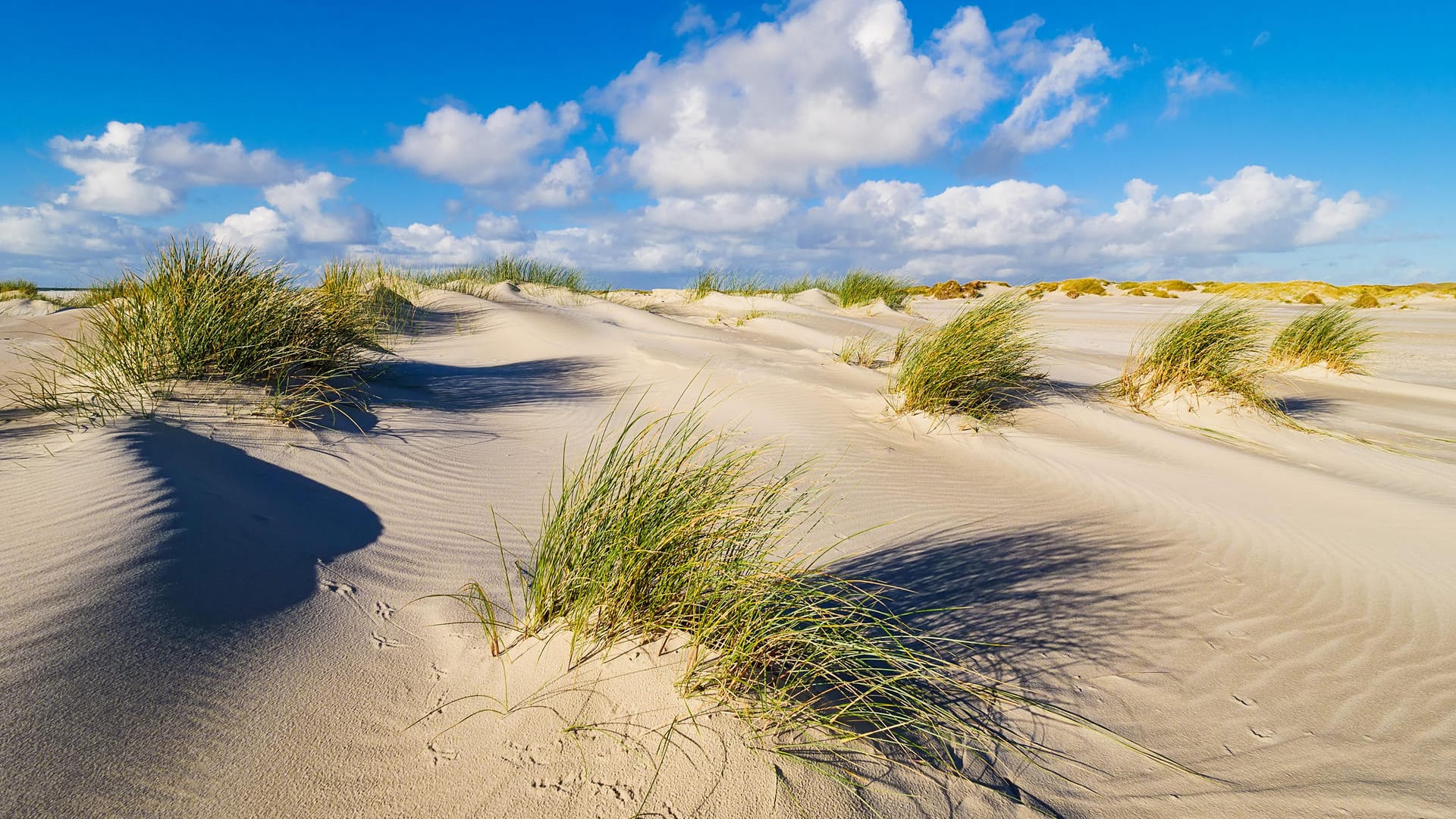 Amrum: Der 500 Meter lange FKK-Strand befindet sich südlich von Norddorf.