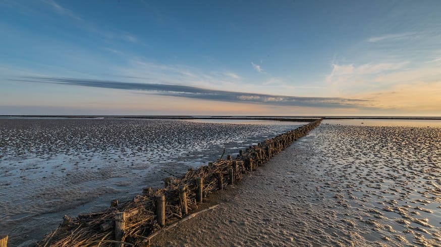 Westerdeichstrich: Der vier Kilometer lange Strand ist in Textil-, FKK- und Hundestrand unterteilt.