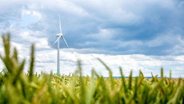 Der von Windkraftanlagen an Land geht weiterhin schleppend voran. Der von Windkraftanlagen an Land geht weiterhin schleppend voran.