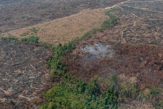 Verbrannte Waldfläche auf einem vom brasilianischen Institut IBAMA zur Verfügung gestellten Archiv-Bild.