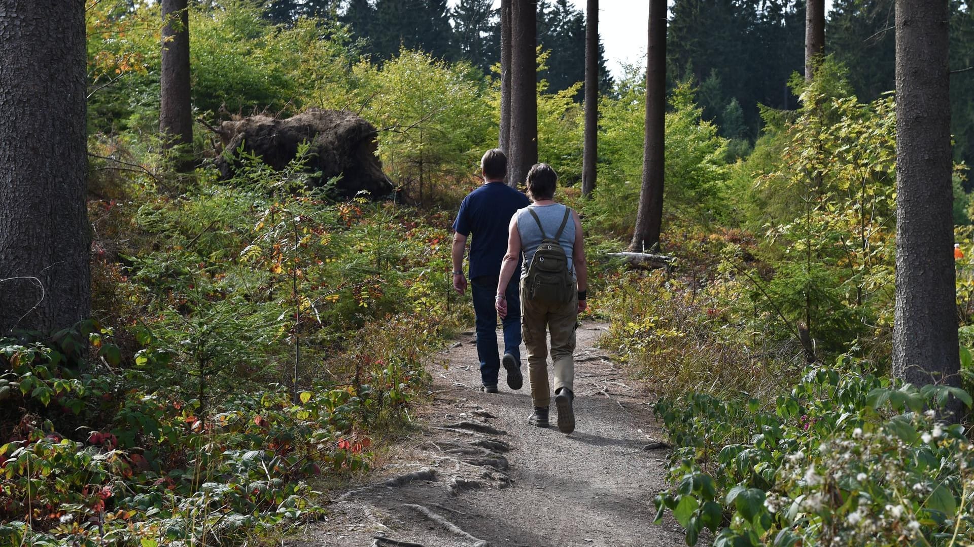 Wanderer im Harz: Auf vielen Routen ist wegen der Corona-Krise viel los – andere sind noch recht unbekannt.