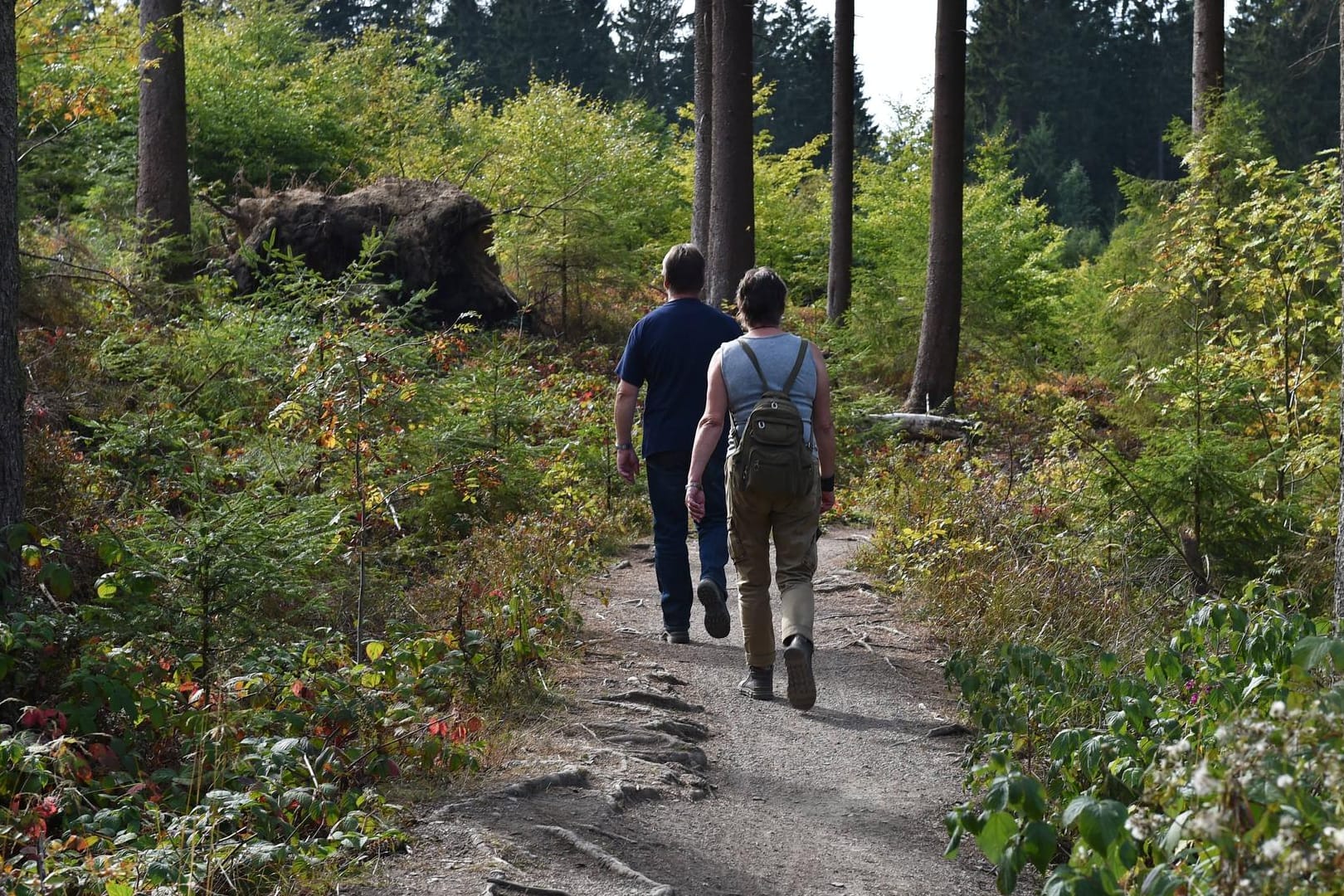 Wanderer im Harz: Auf vielen Routen ist wegen der Corona-Krise viel los – andere sind noch recht unbekannt.